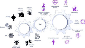 So What Is Chronic Inflammation - Really?