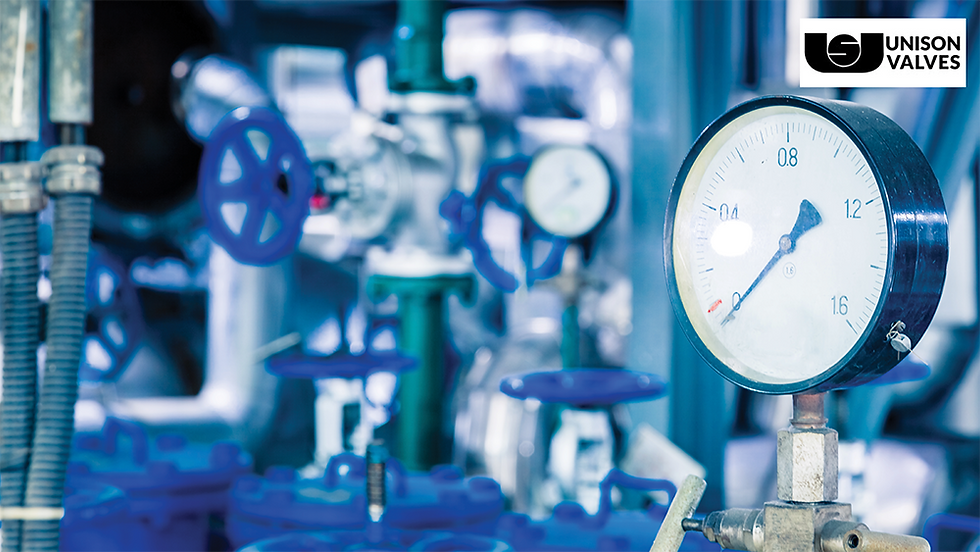 Valve Pressure Testing | Unison Valves