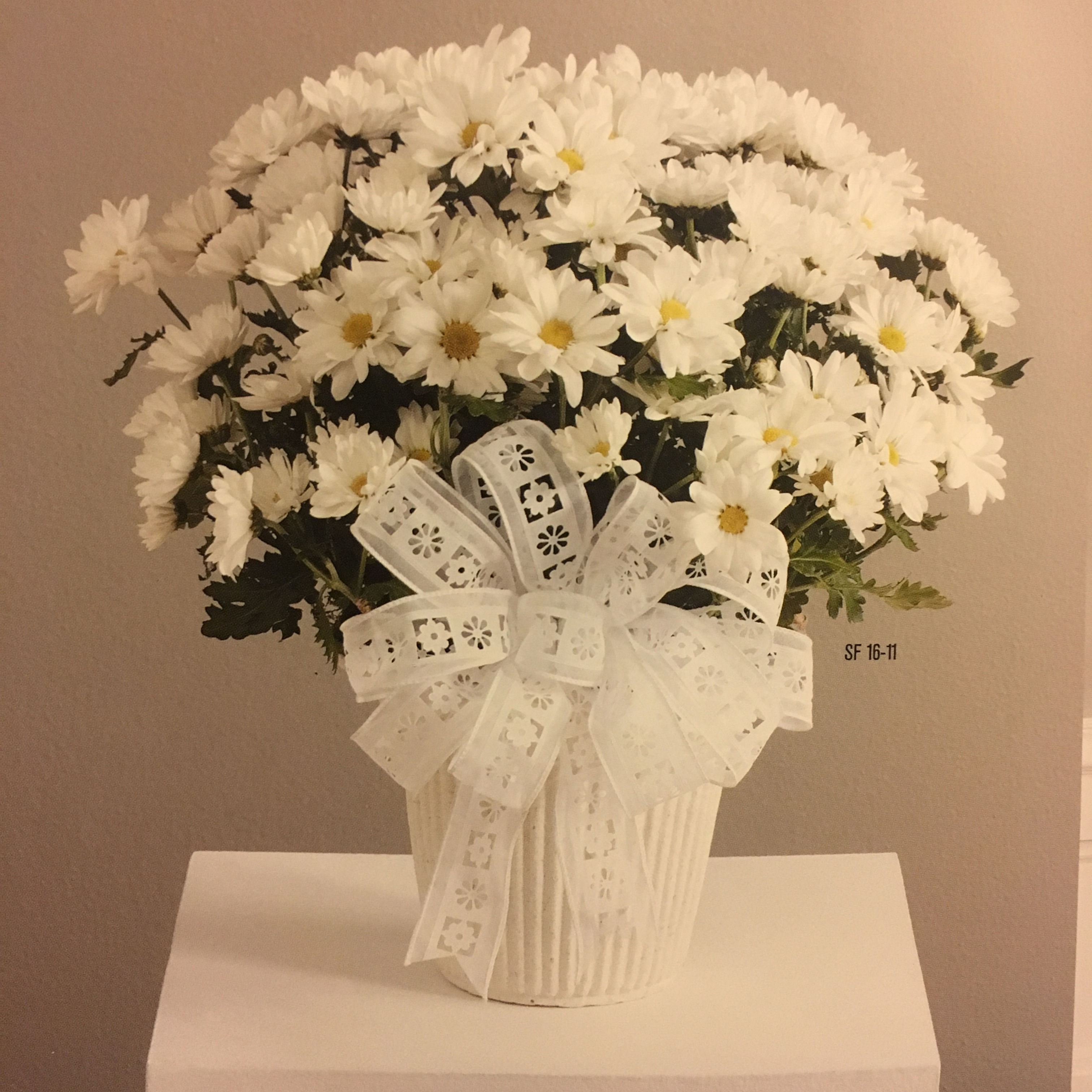 Daisy Arrangement