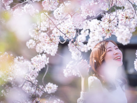 桜のおたより〜大切なことは、先にいらないものを手放して、新しいエネルギーが入ったスペースを作ること〜