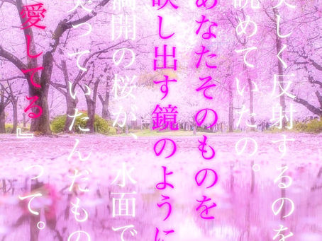 桜のおたより〜あなたの心身のエネルギーは澄んでいますか〜