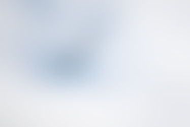 Wildlife | Series 2.0