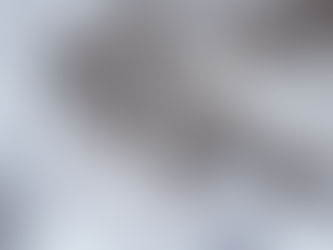 Dinosaur Park | Frosty Days