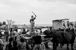 gisellacongia©Matudidovesei