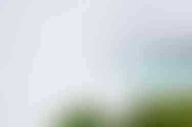 a waterfall with trees in the foreground and a white background