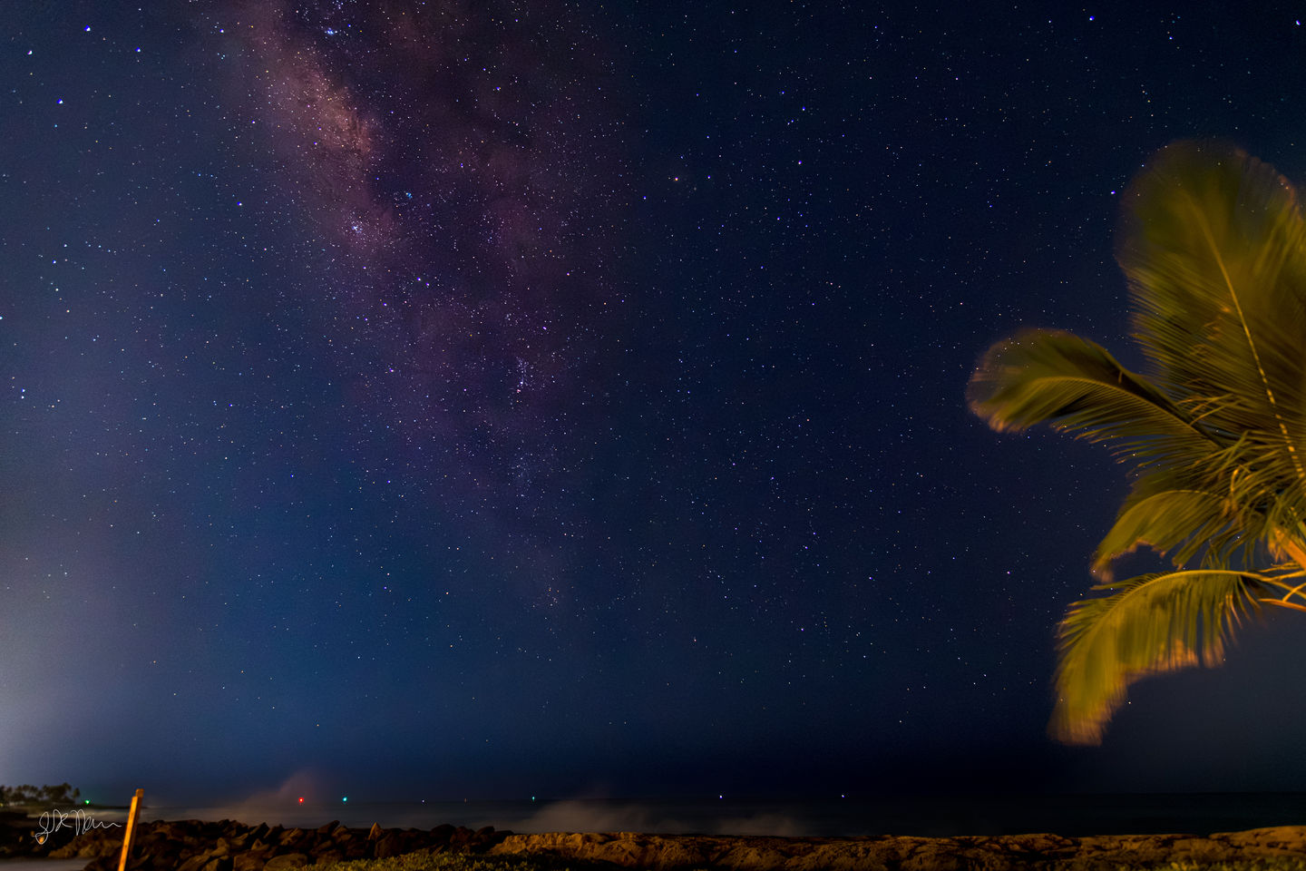 A vibrant view of the Milky Way galaxy stretching vertically across a dark, star-filled night sky over a calm coastline. On the right, the blurred, warm-lit fronds of a palm tree frame the scene. Below, a dark, rocky shoreline and the subtle glow of distant lights sit along the quiet horizon where the ocean meets the sky.