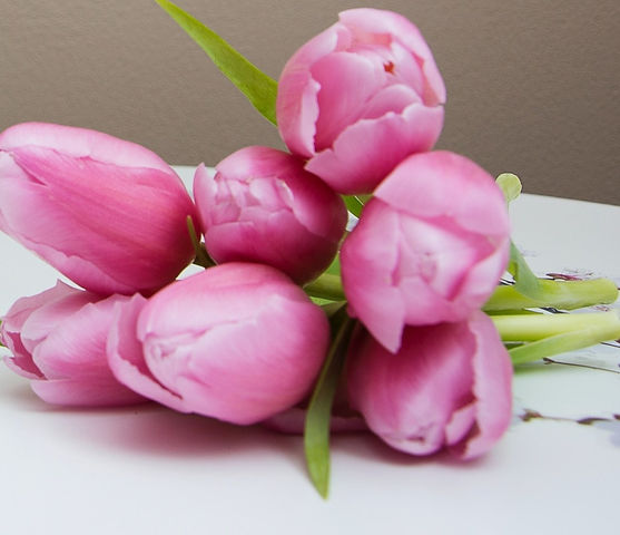 white plastic pump bottle beside pink tulips and gray towel_edited_edited.jpg