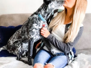 The Ultimate Cruelty-Free Guide For Pet Owners