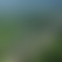 Governo de SP lança projeto para a construção da terceira pista da rodovia dos Imigrantes