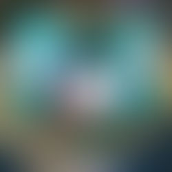 Fundo Social de SP participa de feira têxtil e reforça inclusão de grupos vulneráveis no mercado na moda