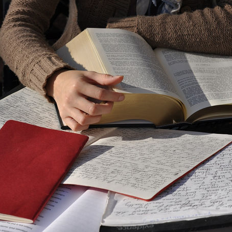 Ler para crescer: o poder transformador da leitura e a importância de projetos literários