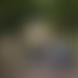 Nova exposição no Museu da Energia de Salesópolis