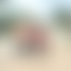 ONG inicia atuação para auxiliar estados afetados pelas enchentes