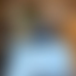 Mais do que funcionalidade: a compra de móveis ganha um novo significado