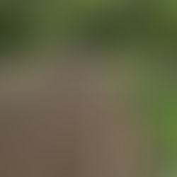 Governo de SP realiza audiências públicas para concessão dos lotes Rota Mogiana e Circuito das Águas