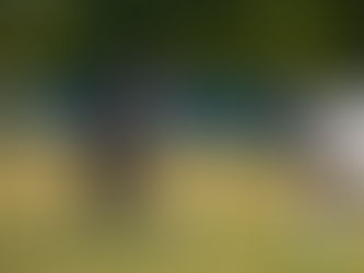 The Morning After: East Bladen Soccer Downs South Columbus, Middle School Soccer Kicks Off