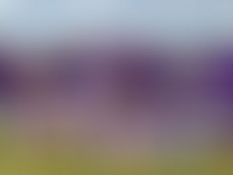 West Bladen Baseball team photo.