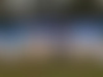 East Bladen baseball team photo.