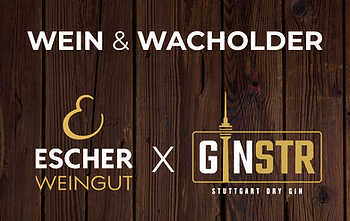 Logo_Wirteseite.png