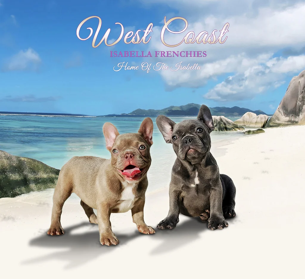 Wallpaper Upcoming Isabellafrenchies For iPhone