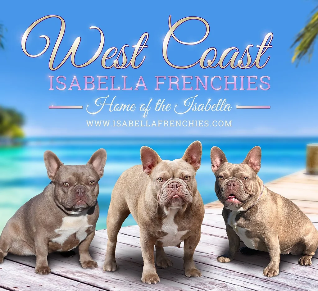 Wallpaper About Us Isabellafrenchies For Android