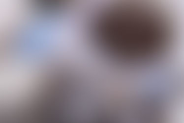 ציפורים בראש - העורבני