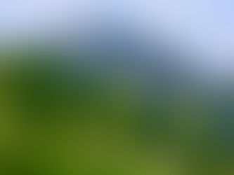 フラワートレッキング in 天神平　2021/06/11