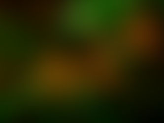 毎月歩く高尾山-8月 2022/08/12