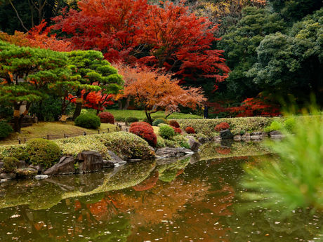 旧古河庭園の秋! 2022/11/29