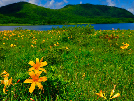 裏磐梯・五色沼と雄国沼湿原 2023/07/03〜04
