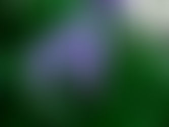 たっぷり山歩き、東高尾山稜〜南高尾 2023/04/28