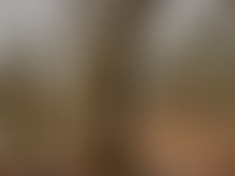 富士山側火山・大室山 2022/01/26