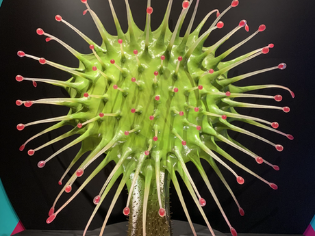 国立科学博物館で「植物」を学ぶ! 2021/09/15