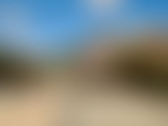 鎌倉・葛原岡〜大仏へ 2022/04/05