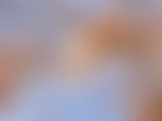 春真っ盛りの公園散歩 2022/03/24