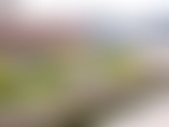 都立汐入公園で桜撮影 2024/03/24(日)