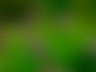 天神平フラワートレッキング2023/06/08