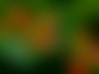 一人で歩く高尾山-日影沢から周回 2022/09/15