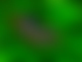 オオムラサキ自然公園 2023/07/13