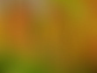 鎌倉の紅葉 2022/12/05