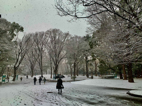 2022年の初登山は雪降る高尾山　2022/01/06
