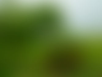 日光・霧降高原 2024/05/29