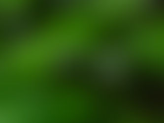 一人で歩く高尾山 2022/05/06