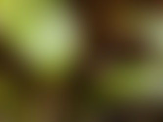 毎月歩く高尾山-４月　2021/04/15