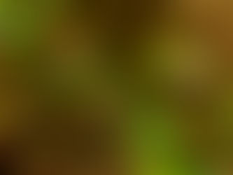 春後半の雪国植物園 2023/04/24