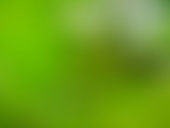 歩き足りずに高尾山へ 2023/04/25