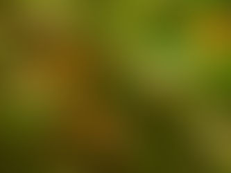 大垂水峠から歩く高尾山 2022/08/03