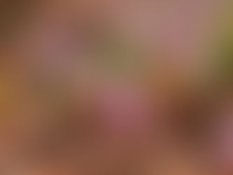 古賀志山で春に浸る! 2023/03/28