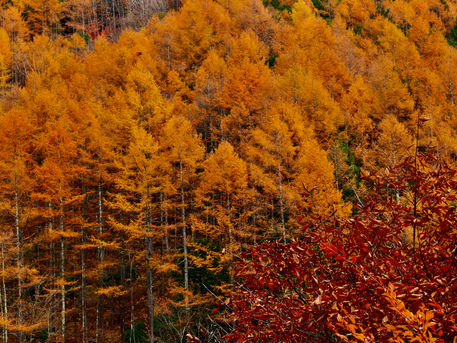 原三角点コンプリート・晩秋の白鬚岩　2022/11/07
