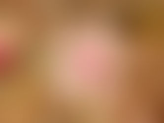 渥美半島のシデコブシ 2022/03/22〜23